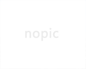 ��������500��������ͬǩ��